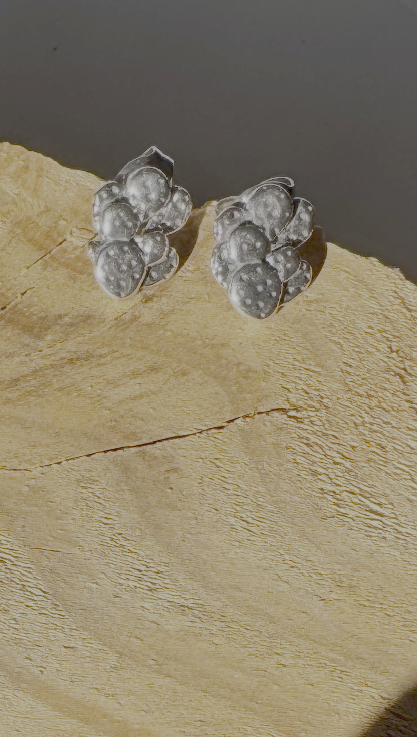 Cactus Post Earrings - Sterling Silver