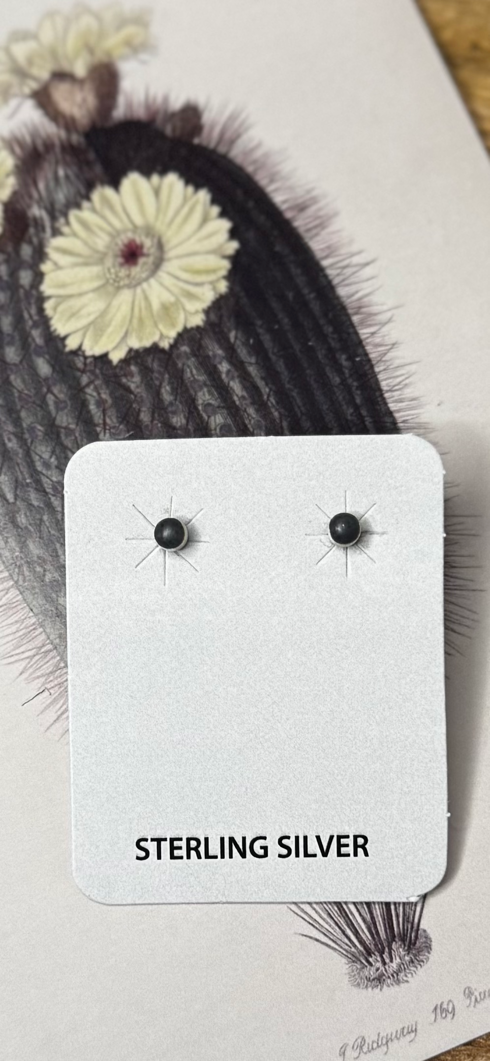 Small Stud Earrings with Black Stone - Sterling Silver