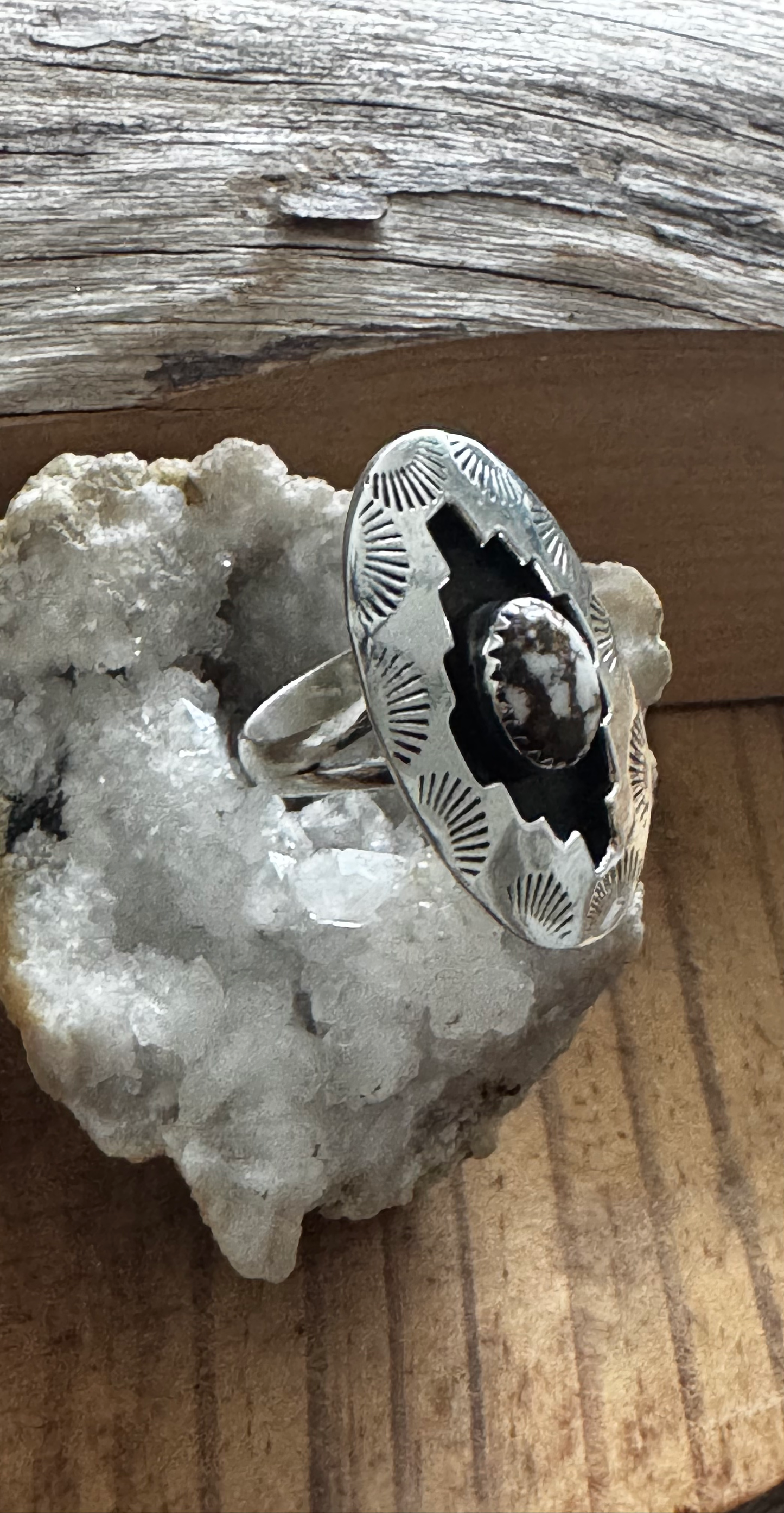 Shadow Box Ring - Wild Horse Jasper - Sterling Silver - Size 8