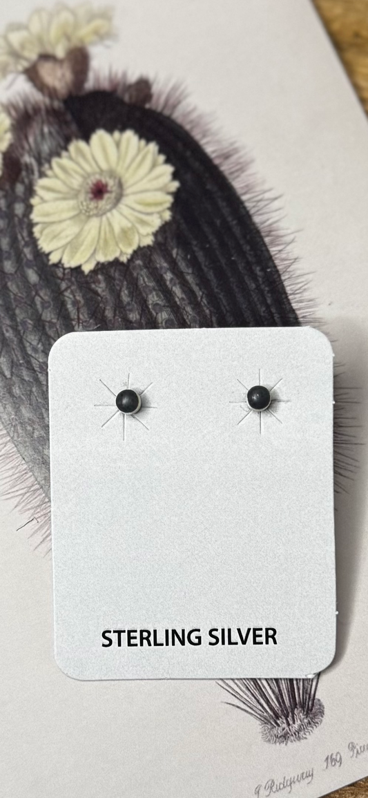 Small Stud Earrings with Black Stone - Sterling Silver