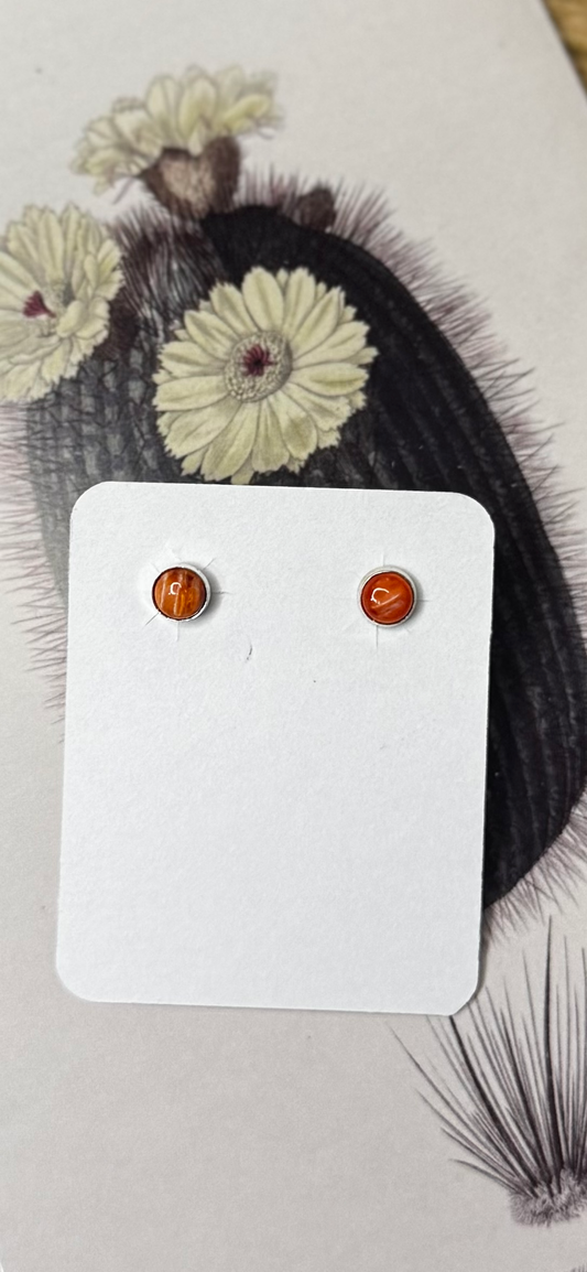 Orange Spiny Oyster Stud Earrings - Sterling Silver
