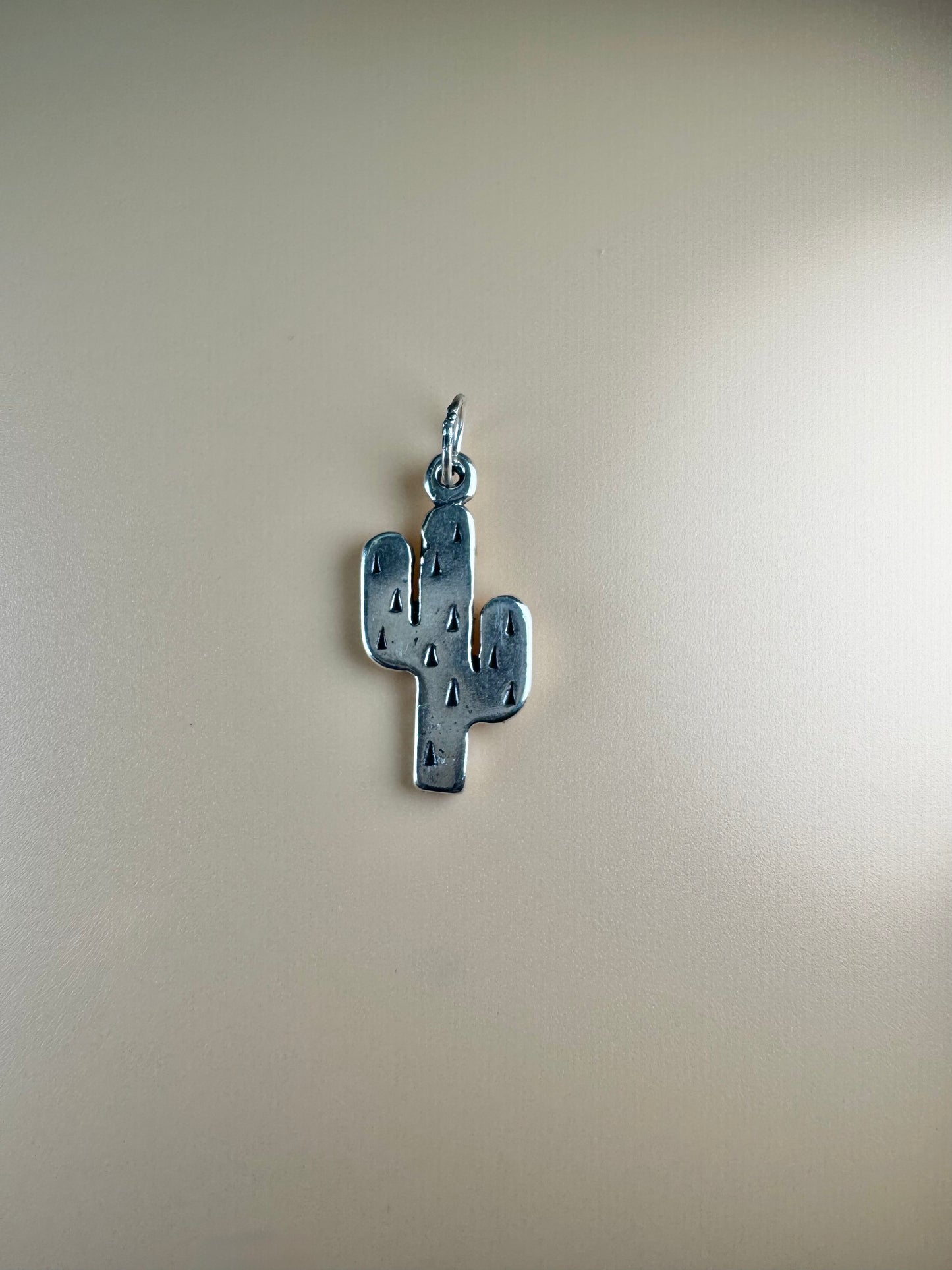Cactus Charm - Sterling Silver