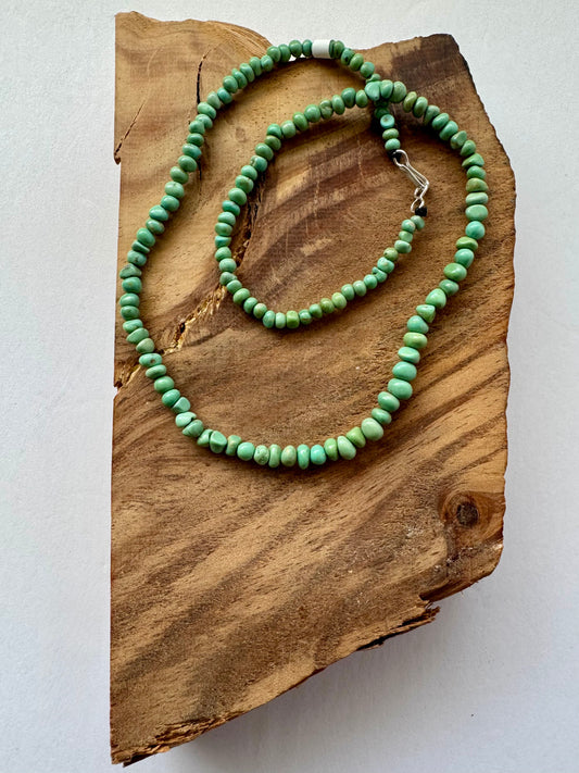 Graduated Green Campitos Turquoise Beads necklace-Length 19"