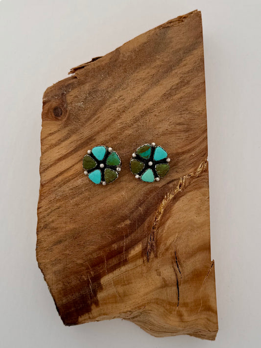 Antique Store Find - Royston Turquoise Sampler Clip On Earrings-