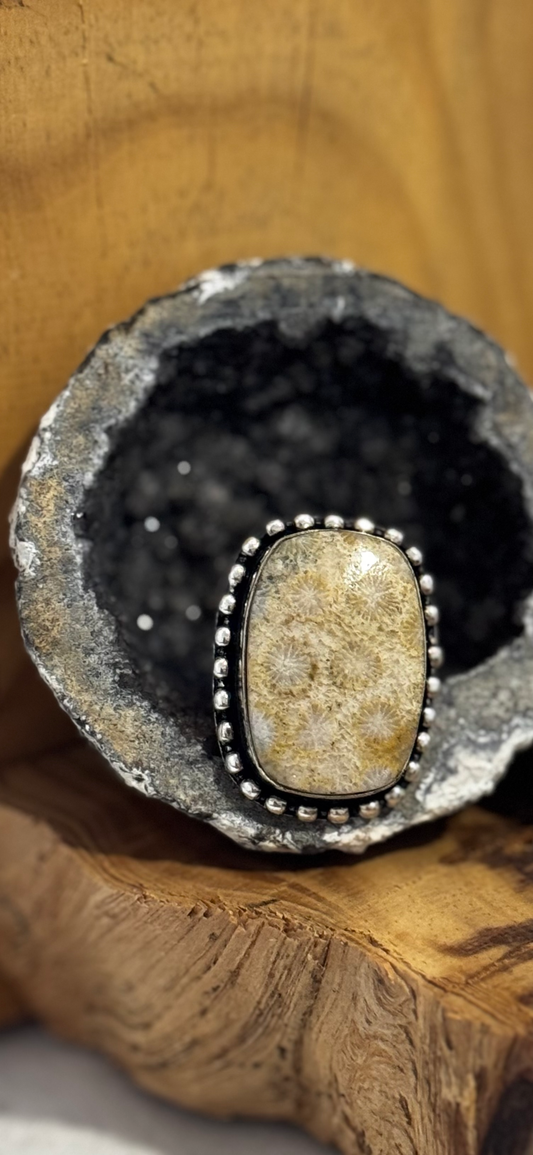 Rounded Rectangle Ring - Fossil Coral - Sterling Silver - Size 10
